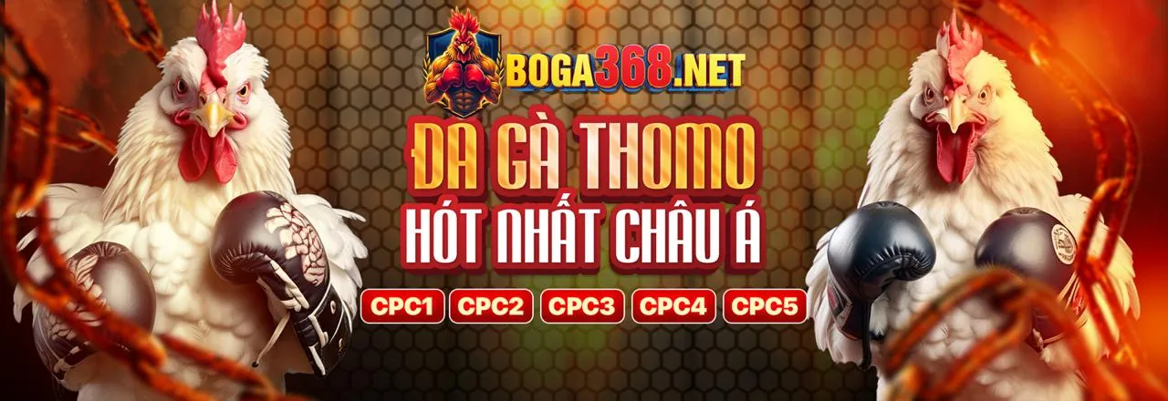 Hình ảnh chính về chiến lược casino tại xin88 casino